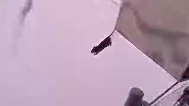 Крыса летит с корабля смотреть онлайн