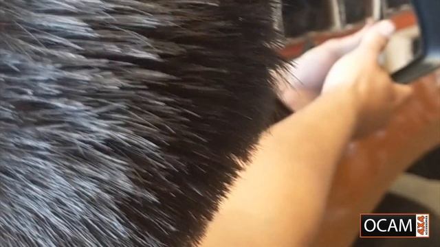 Towing Mirrors Installation Guide For Ford Ranger PX 2012+