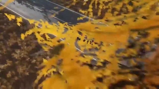 Nissan 240sx rocket bunny - forza horizon 4 short clip смотреть онлайн