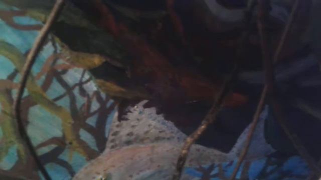 Я проснулся среди ночи и понял смотреть онлайн