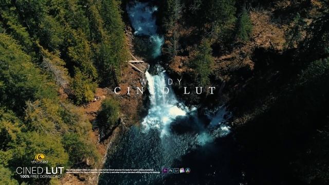 Cinematic LUTs For FREE for Adobe Premiere Pro CC and Photoshop PRO LEVEL смотреть онлайн