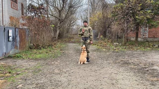 Стафф Отработка Команды Ко Мне смотреть онлайн