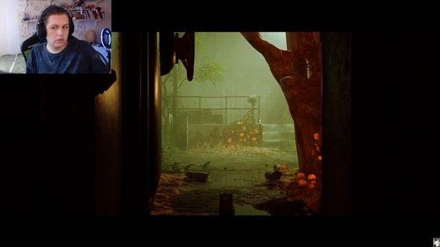 КАКТУС ИГРАЕТ В STRAY #5 | НАРЕЗКА СО СТРИМА cacto0o смотреть онлайн