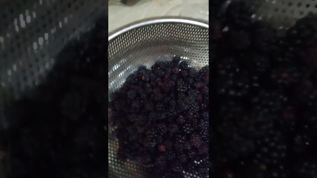 #Մոշով թխվածք/ Пирог с Ежевикой/ #Mila смотреть онлайн