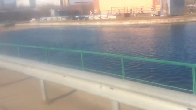 кожуховский пруд смотреть онлайн