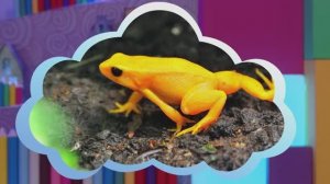 ✨Спокойной ночи, малыши!✨ Великаны и малышки