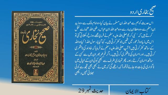 Sahih bukhari hadees no 29 | Islam on studio | Na shukri aurtain Jahanam main смотреть онлайн