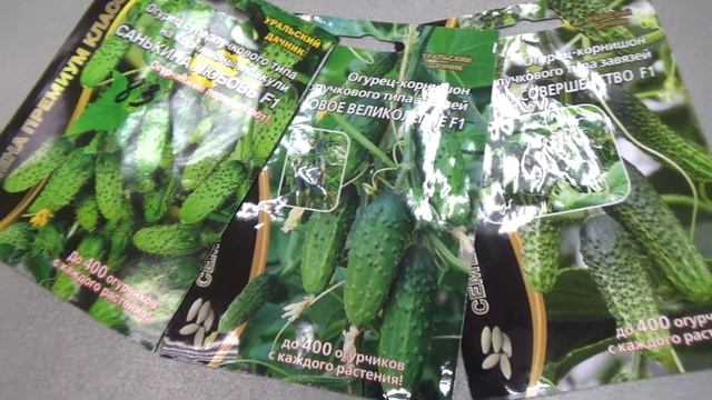 Огурчики, новинки семян от Уральского Дачника. смотреть онлайн