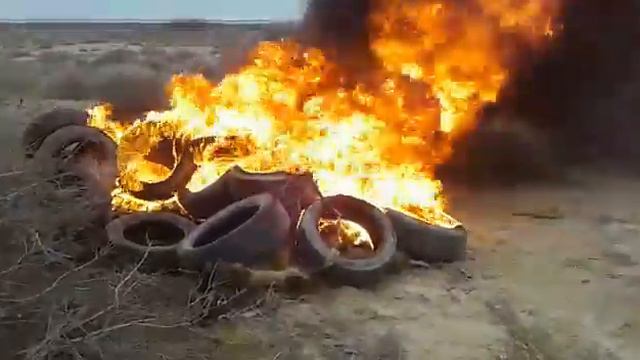 БЕШЕНСТВО В МАНГИСТАУСКОЙ ОБЛАСТИ. МЕСТНОСТЬ ТЕМИР-БАБА 01 смотреть онлайн