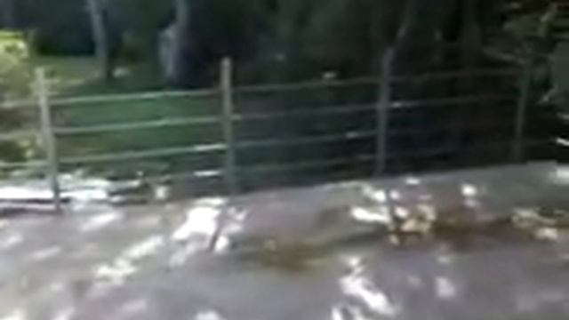 Ограждения из нержавеющей стали Маршаг смотреть онлайн