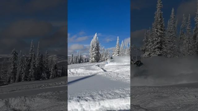 Little fun here ??❄️ смотреть онлайн