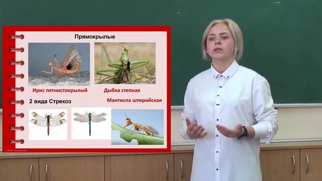 Красная книга Луганщины смотреть онлайн