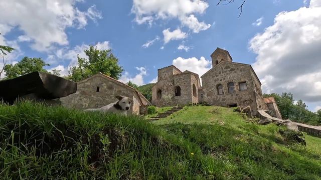 ЛУЧШИЕ ДРУЗЬЯ ЛАВРОВА / Грузинское приключение / 2023 смотреть онлайн