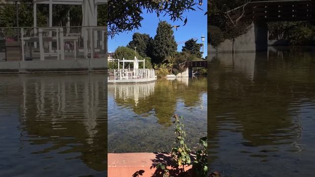 Cagliari Parco Papa Giovanni Paolo II #shorts смотреть онлайн