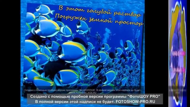 Созвучие Идей