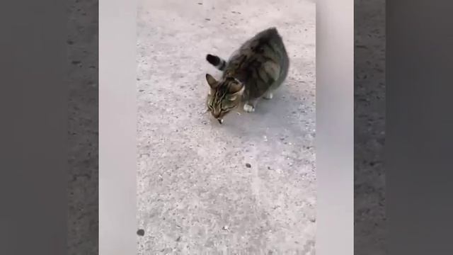 Крым - Рыболов в деле. смотреть онлайн