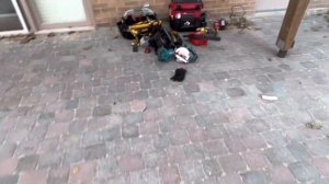 Инструмент плотника(carpenter)в Канаде!!!Технологии Дэка!#иммиграциявканаду #cuaet #toronto #alexfi