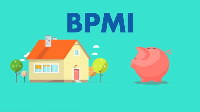 PLG - Mortgage Insurance - Lender Paid Vs Borrower Paid