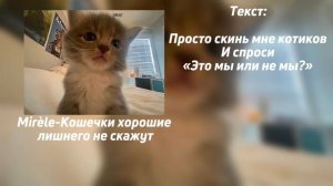 ?Mirèle-кошечки хорошие лишнего не скажут (текст) ?