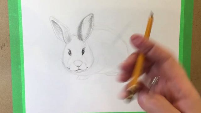 How to draw a rabbit. Как нарисовать кролика карандашами смотреть онлайн