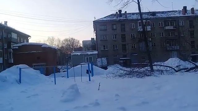 Упало огромное дерево и лежит месяц во дворе на ул. Ушакова в Бердске смотреть онлайн