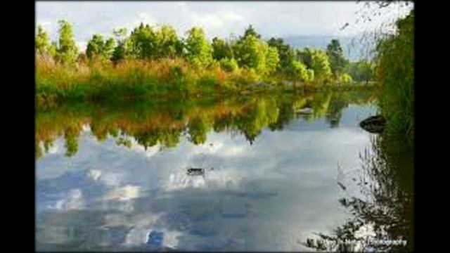 Экс ББ без Вадика Дискотека 20 века.mp4 смотреть онлайн