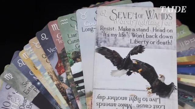 60*120mm Tarot Custom Printed Oracle Cards With Instruction смотреть онлайн