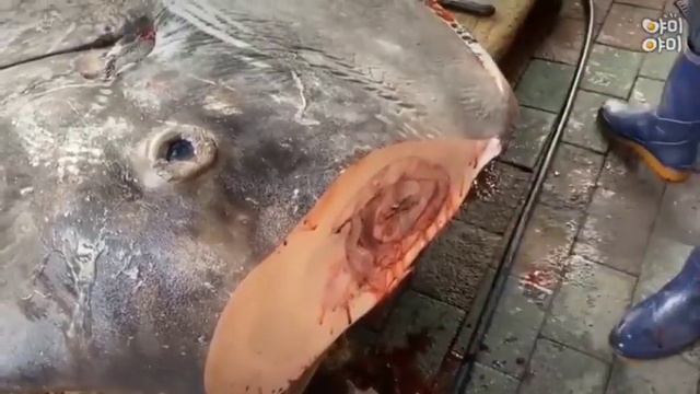 23 мая 2023 г. смотреть онлайн