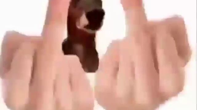 я фурри, задавайте вопросы (5 лайков и я кидаю латекс в крамеза) смотреть онлайн