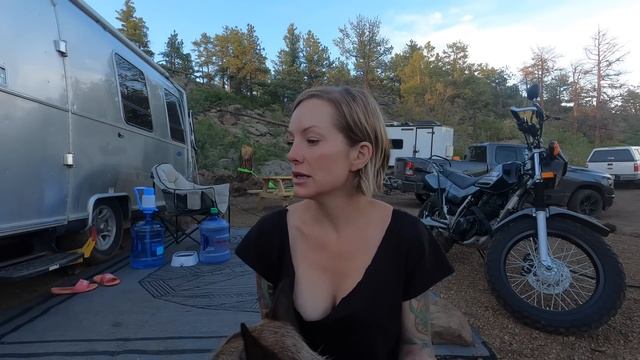 Homeless to Homesteading - moving onto raw land смотреть онлайн