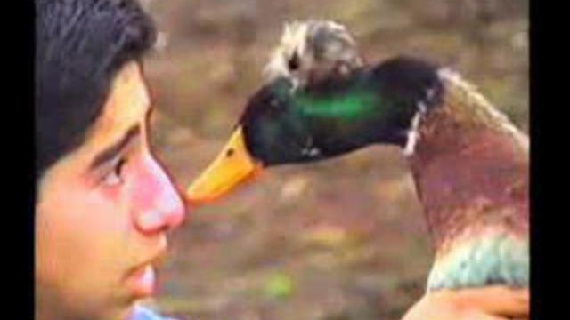 Это ппц! смотреть онлайн