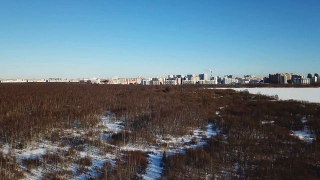 Юнтоловский заказник | Лахтинский разлив | drone video 4k смотреть онлайн