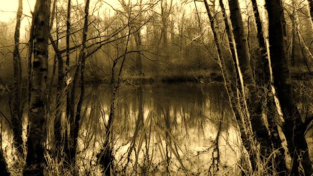 Conciliabule, Isabelle Daups et Christian Lété смотреть онлайн