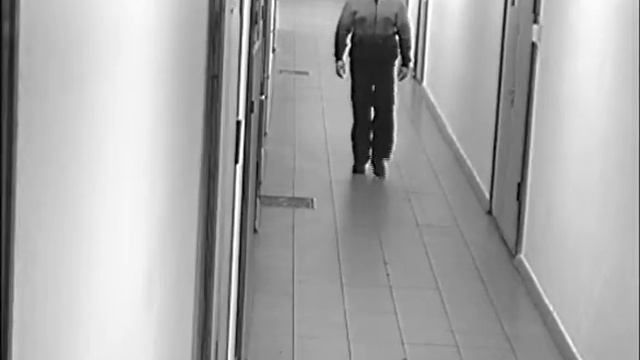 Тестовая запись видеокамеры IVR смотреть онлайн