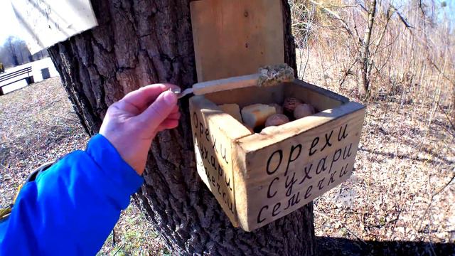 Славянск. Прогулка по парку Шелковичный.
