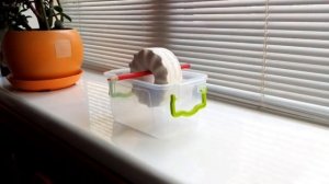 Лучший осушитель воздуха для дома своими руками против конденсата на окнах и сырости