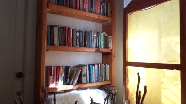 Вегетирующие саженцы винограда - правильное выращивание. смотреть онлайн