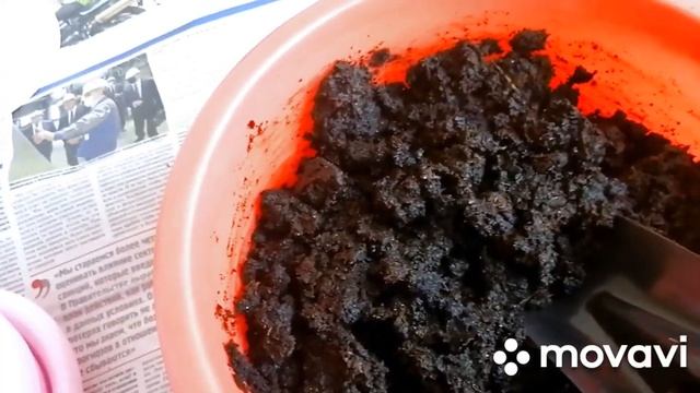 Амазонская Лилия. Пересадка. смотреть онлайн