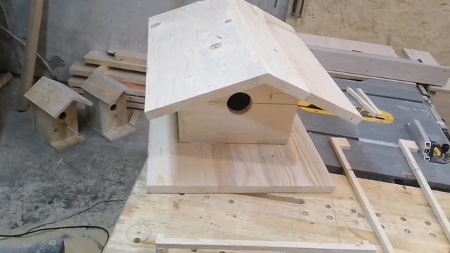 скворечники и бельчатник.. декабрь 2022 смотреть онлайн