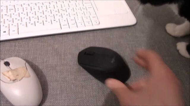 Короткий обзор беспроводной мыши logitech M280 смотреть онлайн