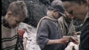 Летняя поездка к морю