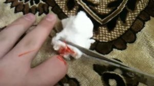 ОТРЕЗАЛ ПАЛЕЦ