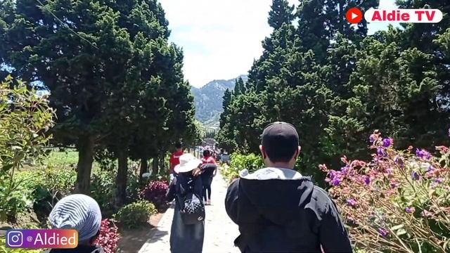 Candi arjuna dieng terbaru 2022 смотреть онлайн