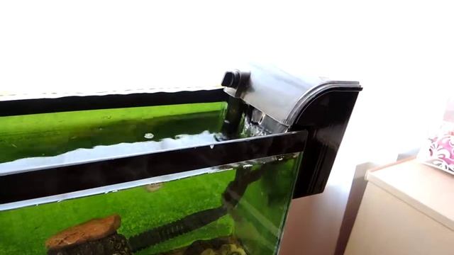 Макрогнатус и внешний фильтр смотреть онлайн