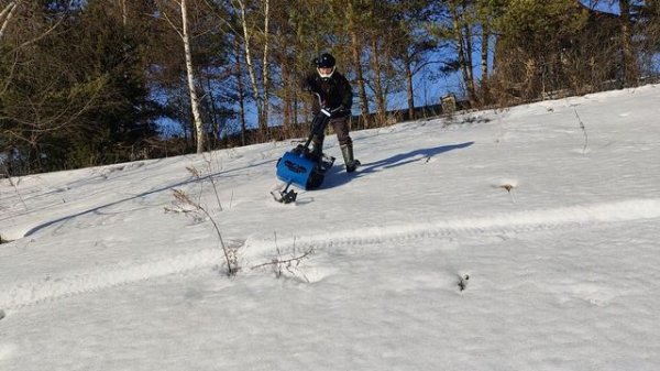 Draxter весна 2024