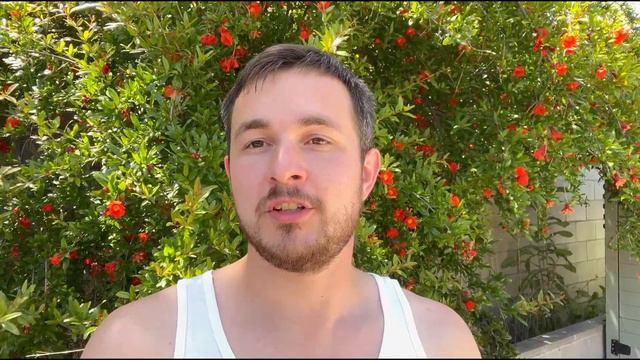 Водительские права в Калифорнии 2023. Что делать если требуют SSN? смотреть онлайн