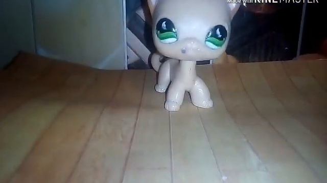 Лпс клип незабудка , наконец я уже нормально снимаю клипы пишете в комментариях какую песню мне сня смотреть онлайн