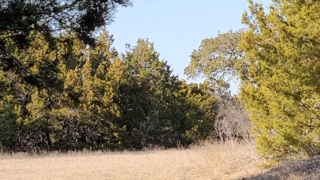 Mojo Scoot N Shoot unboxing смотреть онлайн