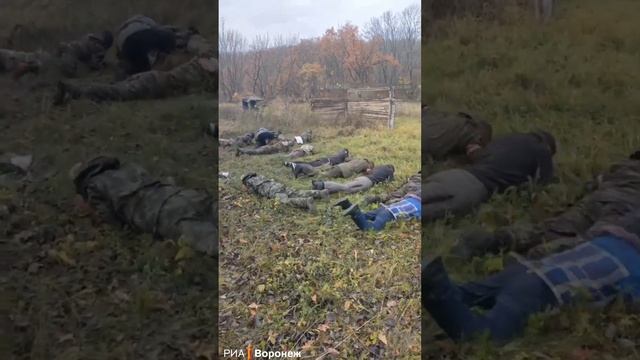 Начальная военная подготовка смотреть онлайн